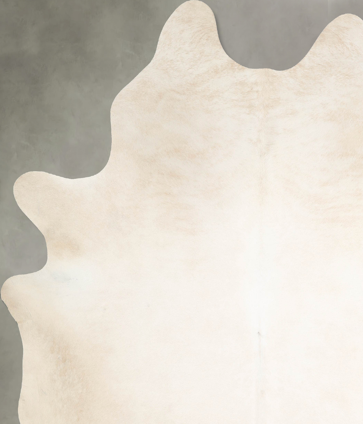Ivory with Beige XX-Large Brazilian Cowhide Rug 7'8"H x 6'6"W #A53928 by Hudson Hides