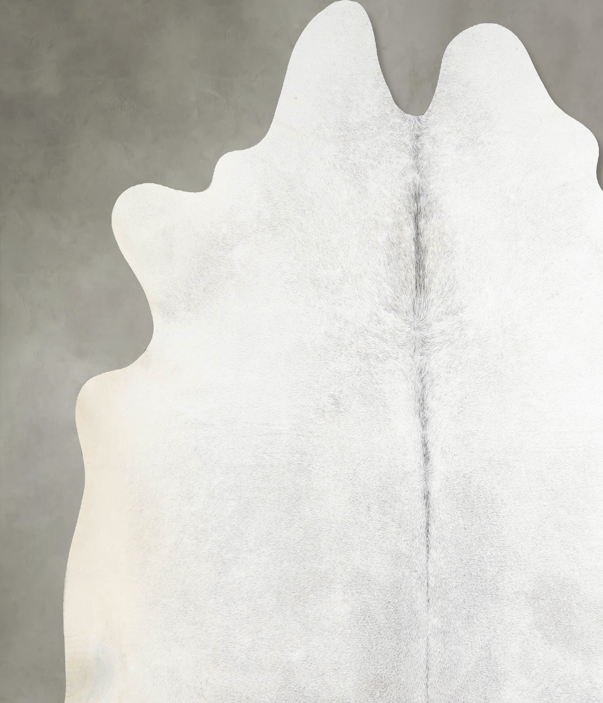 Light Grey XX-Large Brazilian Cowhide Rug 7'11"H x 7'7"W #A53930 by Hudson Hides