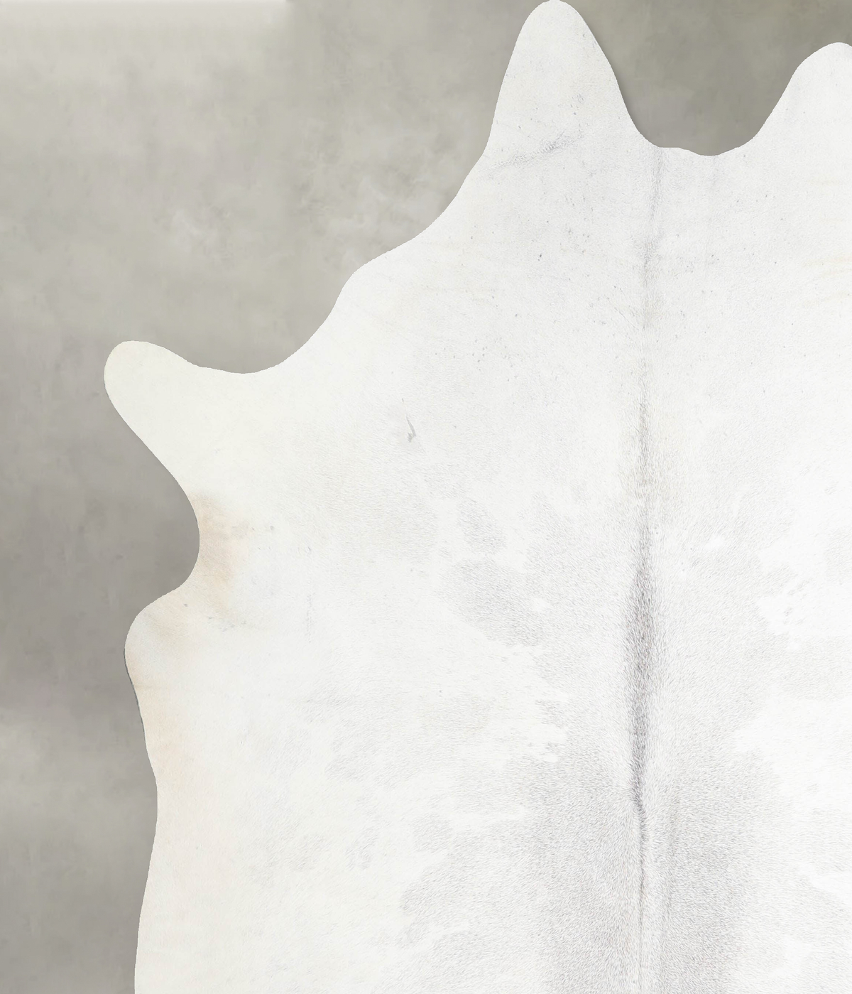Light Grey XX-Large Brazilian Cowhide Rug 7'10"H x 7'2"W #A53936 by Hudson Hides