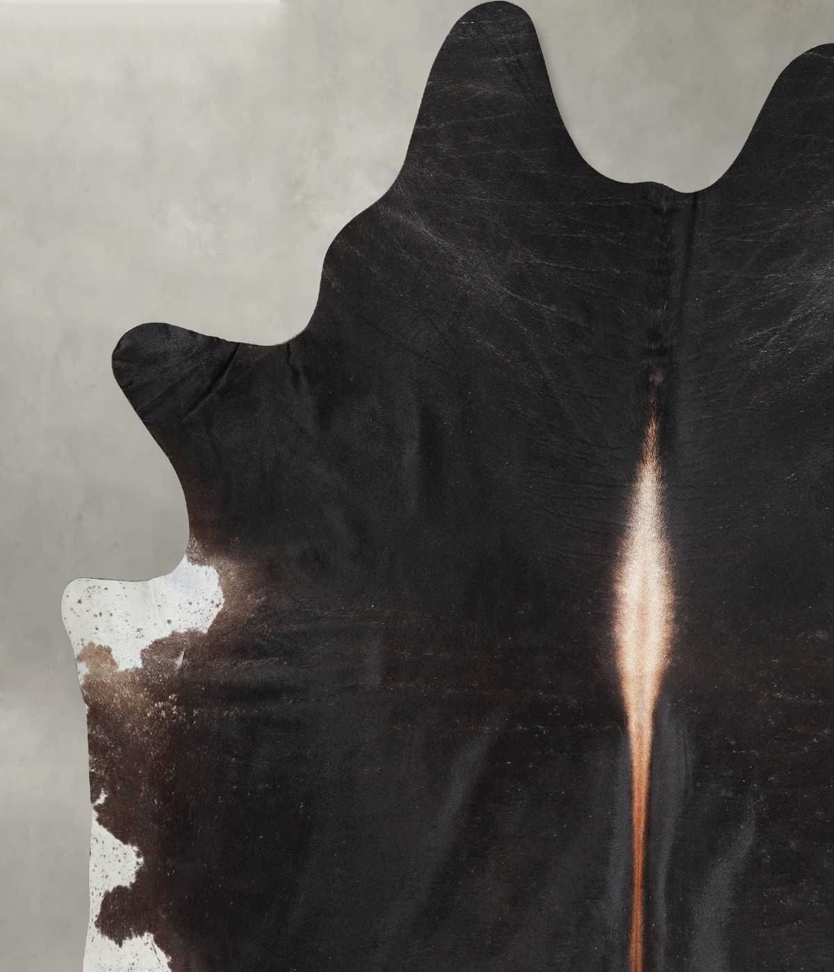 Chocolate XX-Large Brazilian Cowhide Rug 8'9"H x 7'6"W #A53943 by Hudson Hides