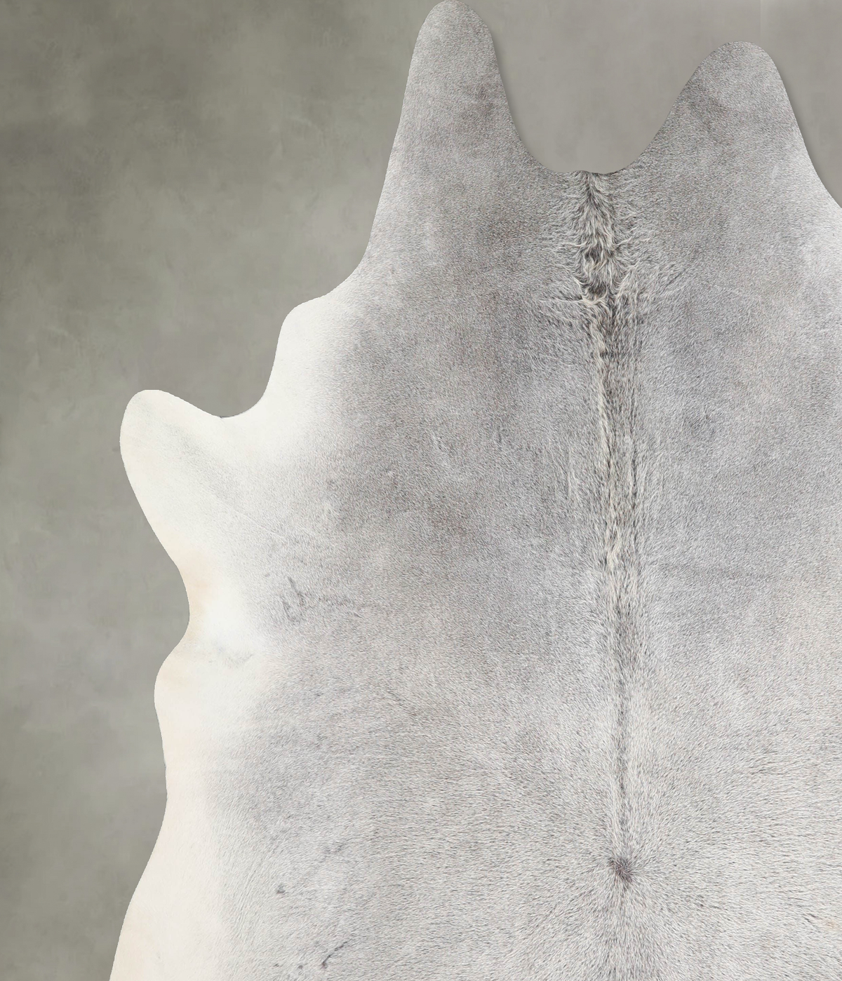 Medium Grey XX-Large Brazilian Cowhide Rug 8'5"H x 7'8"W #A53946 by Hudson Hides