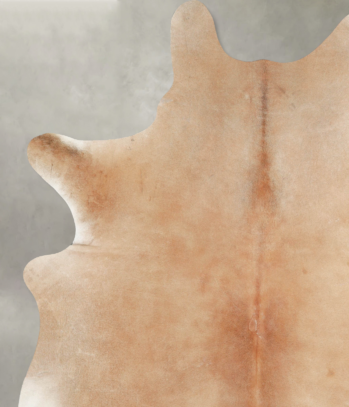 Beige XX-Large Brazilian Cowhide Rug 7'11"H x 6'4"W #A53950 by Hudson Hides