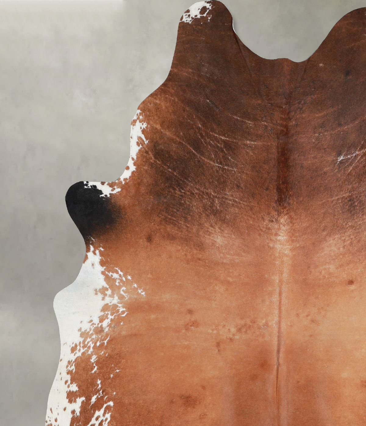 Brown and White Regular XX-Large Brazilian Cowhide Rug 8'2"H x 6'8"W #A53954 by Hudson Hides