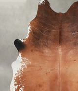 Brown and White Regular XX-Large Brazilian Cowhide Rug 8'2"H x 6'8"W #A53954 by Hudson Hides