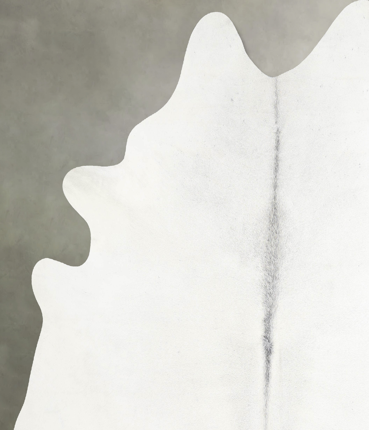 Light Grey X-Large Brazilian Cowhide Rug 7'1"H x 6'6"W #A53955 by Hudson Hides