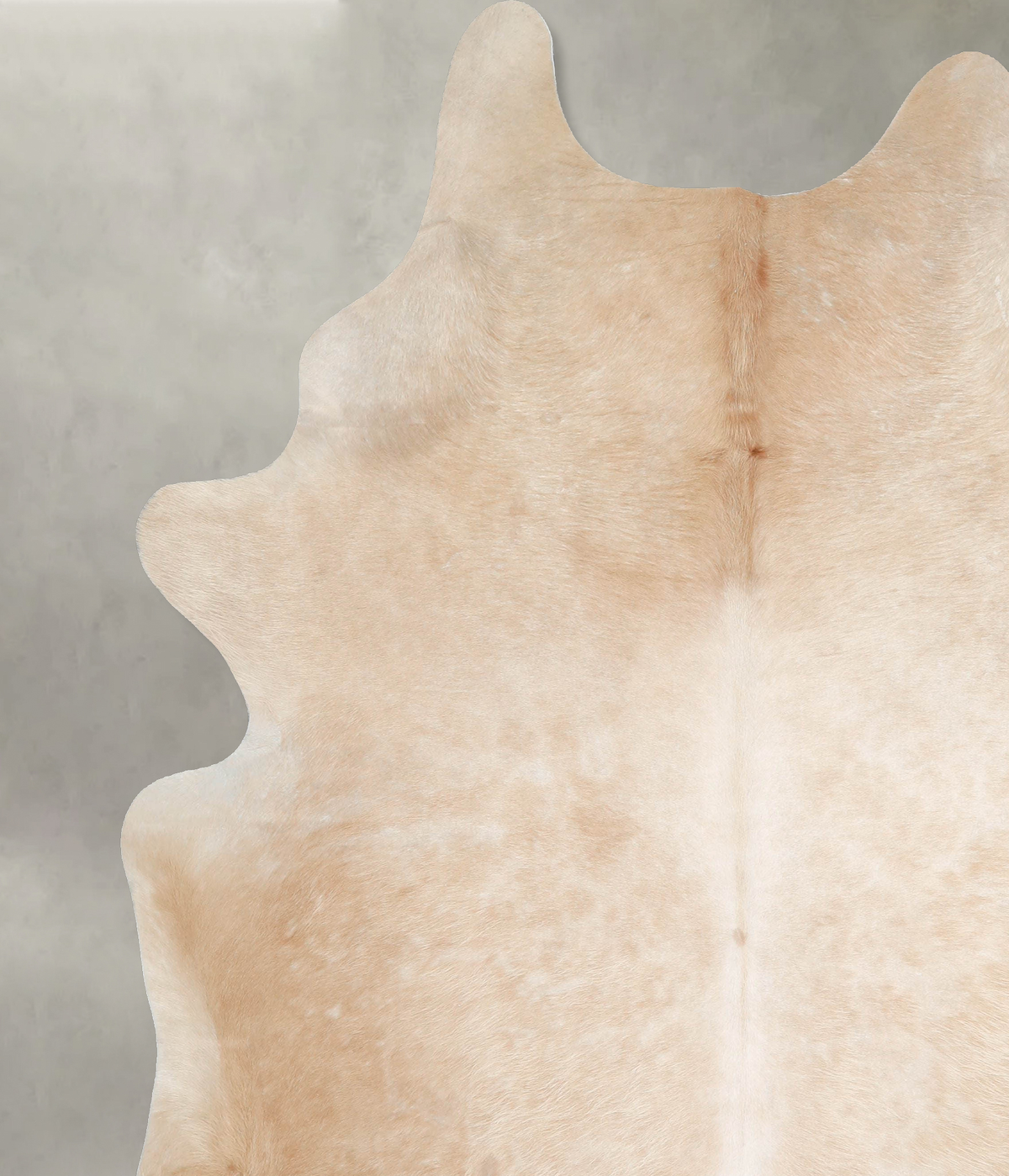 Palomino XX-Large Brazilian Cowhide Rug 8'1"H x 7'0"W #A53957 by Hudson Hides