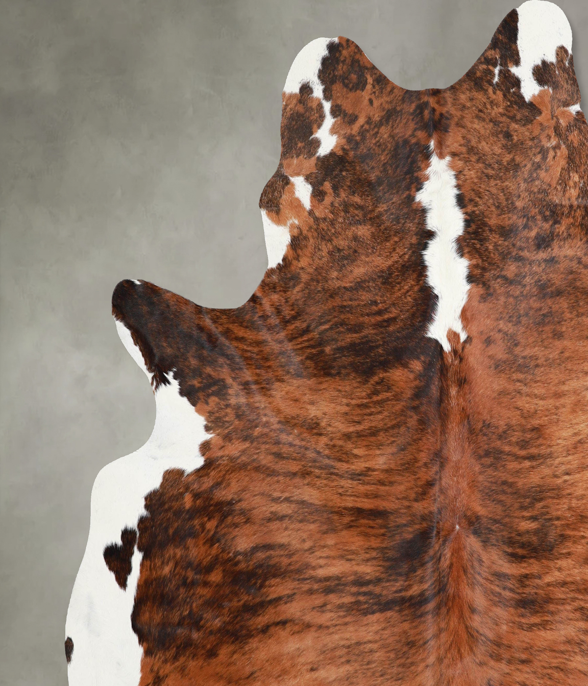 Medium Brindle XX-Large Brazilian Cowhide Rug 7'7"H x 7'0"W #A53958 by Hudson Hides