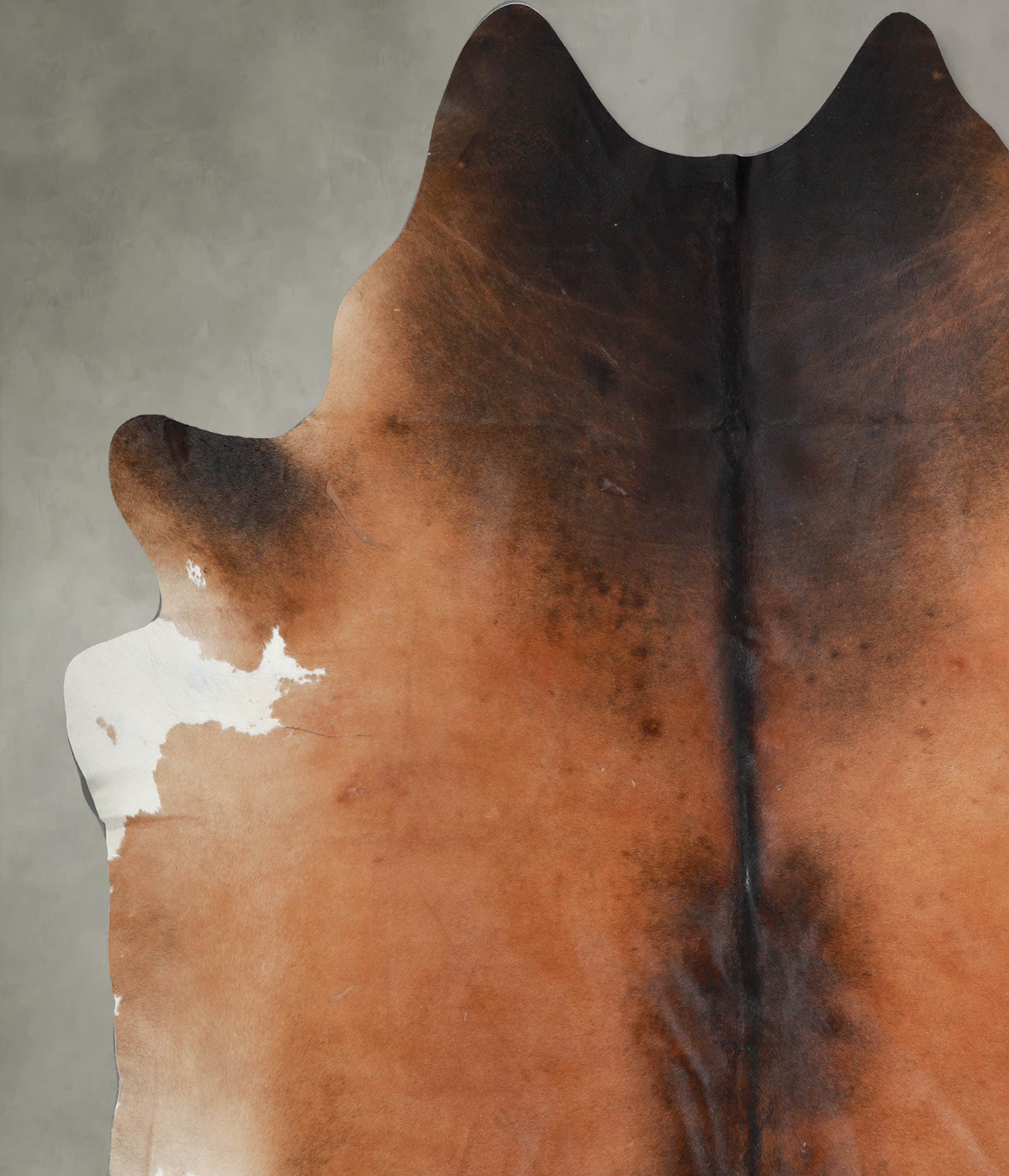 Warm Caramel XX-Large Brazilian Cowhide Rug 8'0"H x 7'5"W #A53963 by Hudson Hides