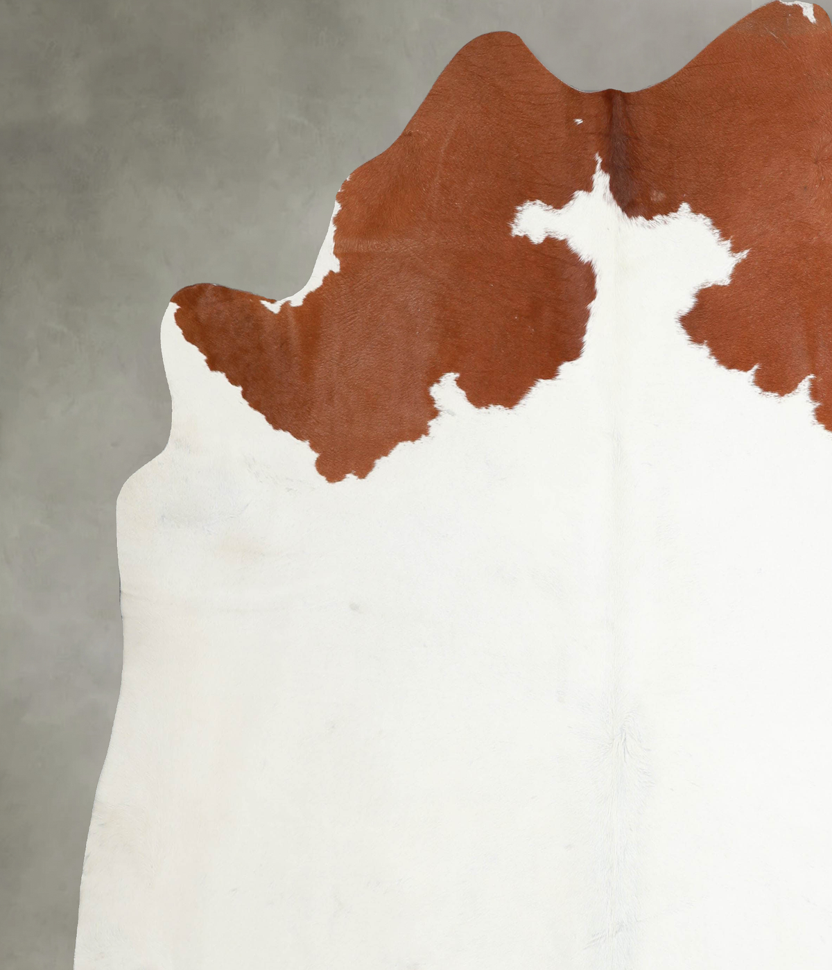 Brown and White Regular XX-Large Brazilian Cowhide Rug 7'8"H x 7'4"W #A53965 by Hudson Hides