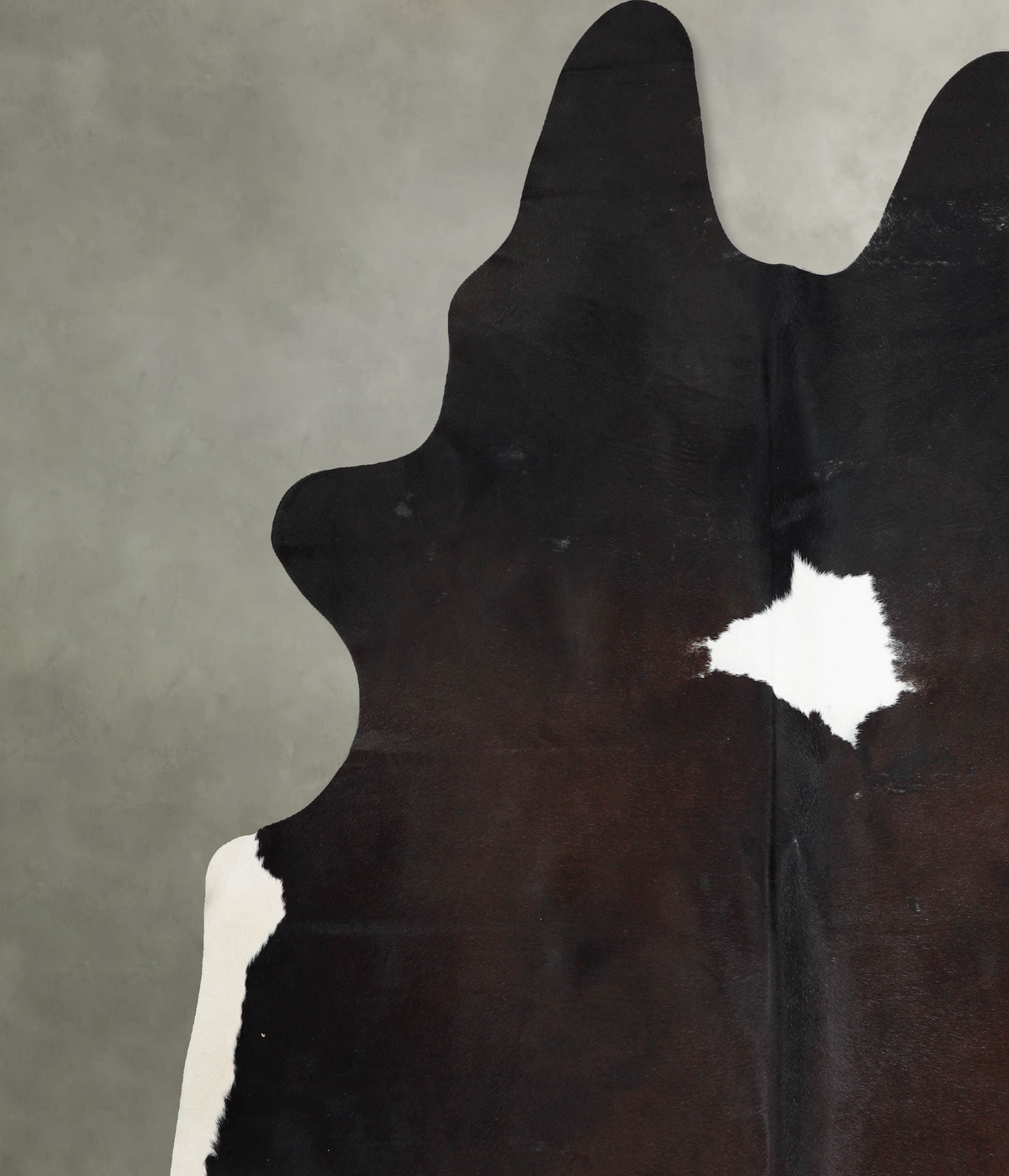 Chocolate and White XX-Large Brazilian Cowhide Rug 8'9"H x 7'5"W #A53970 by Hudson Hides