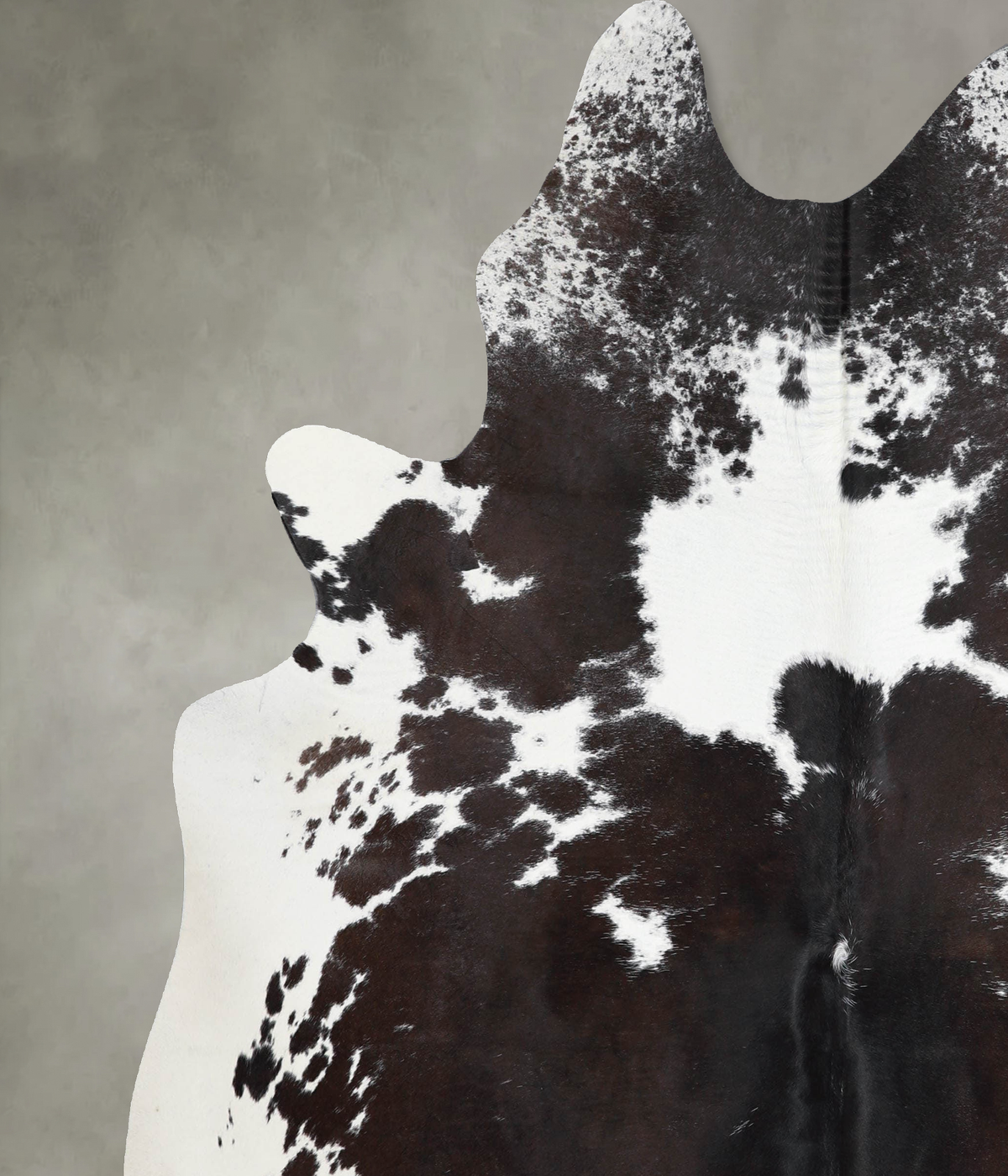 Chocolate and White X-Large Brazilian Cowhide Rug 7'2"H x 6'5"W #A53975 by Hudson Hides