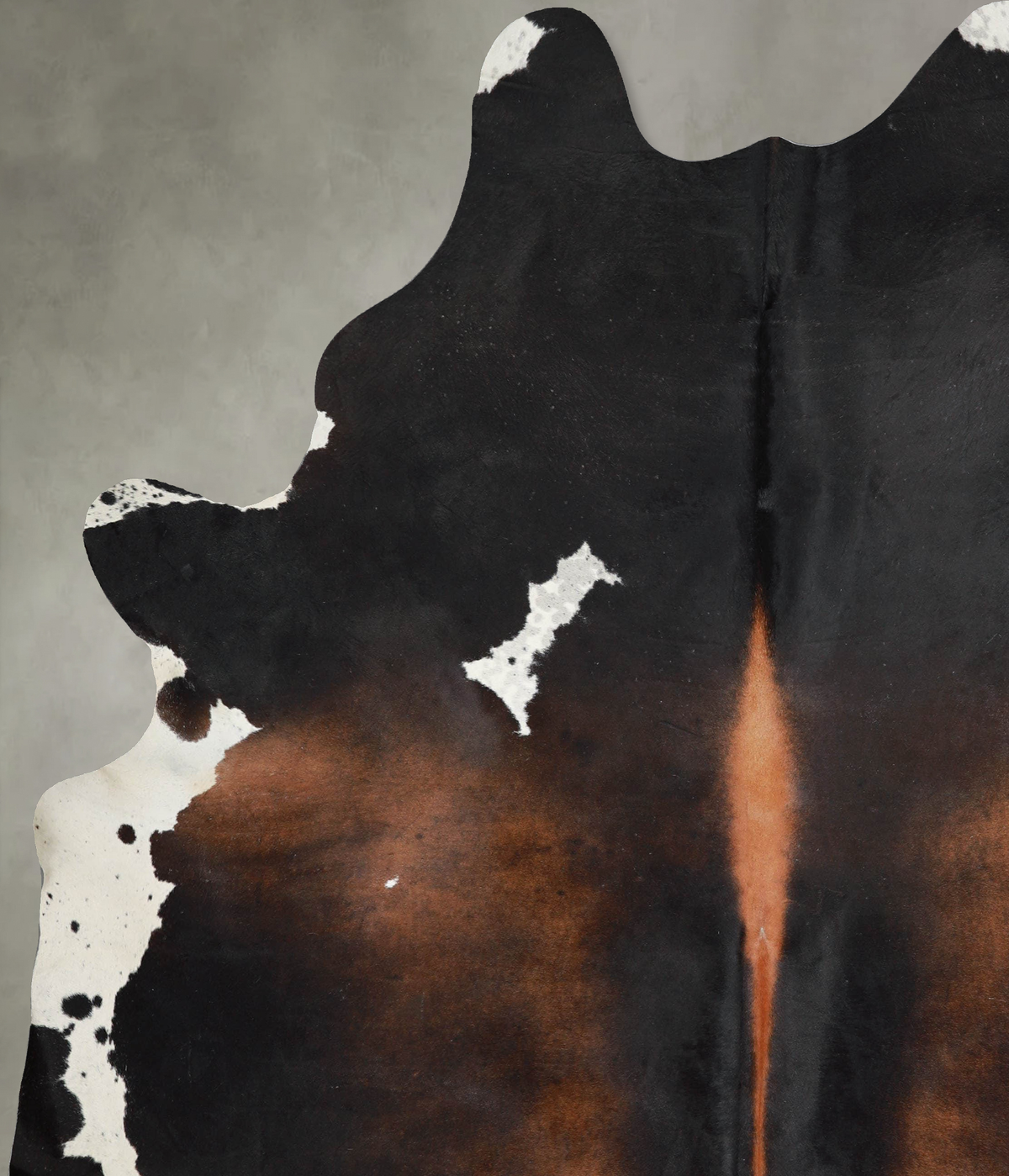 Chocolate and White XX-Large Brazilian Cowhide Rug 8'4"H x 6'11"W #A53976 by Hudson Hides