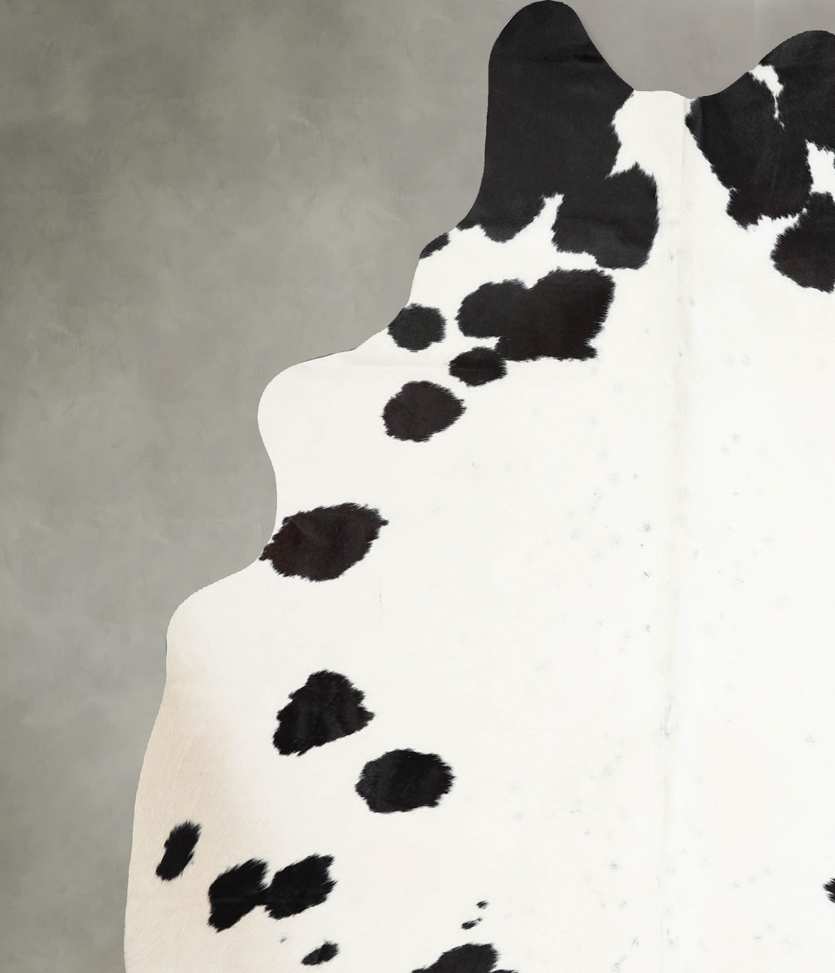 Black and White X-Large Brazilian Cowhide Rug 7'6"H x 6'1"W #A53978 by Hudson Hides