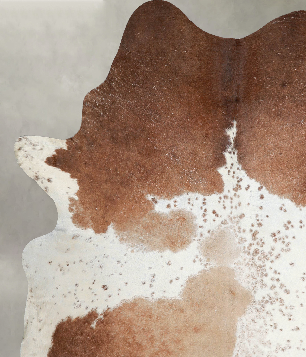 Brown and White X-Large Brazilian Cowhide Rug 7'7"H x 6'1"W #A53986 by Hudson Hides