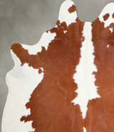 Brown and White Large Brazilian Cowhide Rug 6'6"H x 6'2"W #A53987 by Hudson Hides