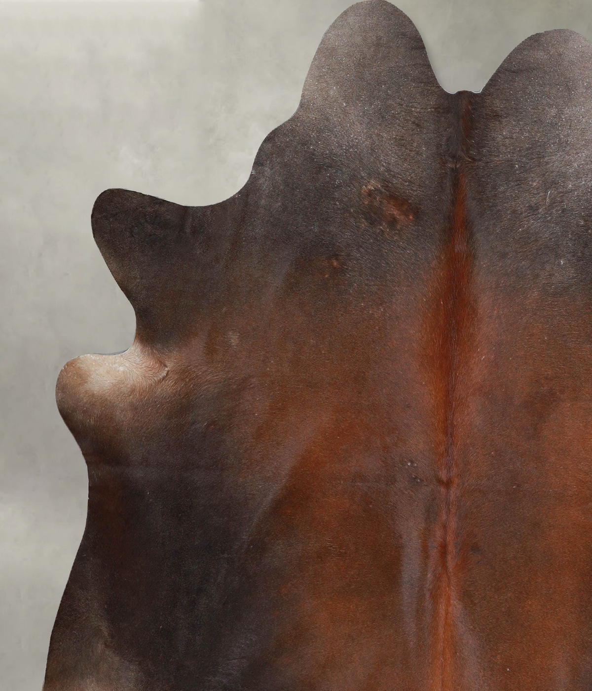 Warm Caramel X-Large Brazilian Cowhide Rug 6'11"H x 6'9"W #A53993 by Hudson Hides