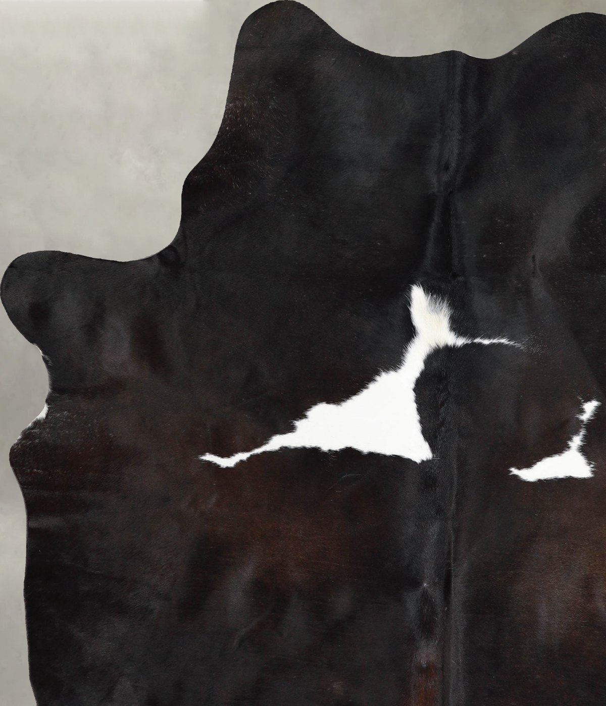 Chocolate and White X-Large Brazilian Cowhide Rug 7'4"H x 5'7"W #A53994 by Hudson Hides