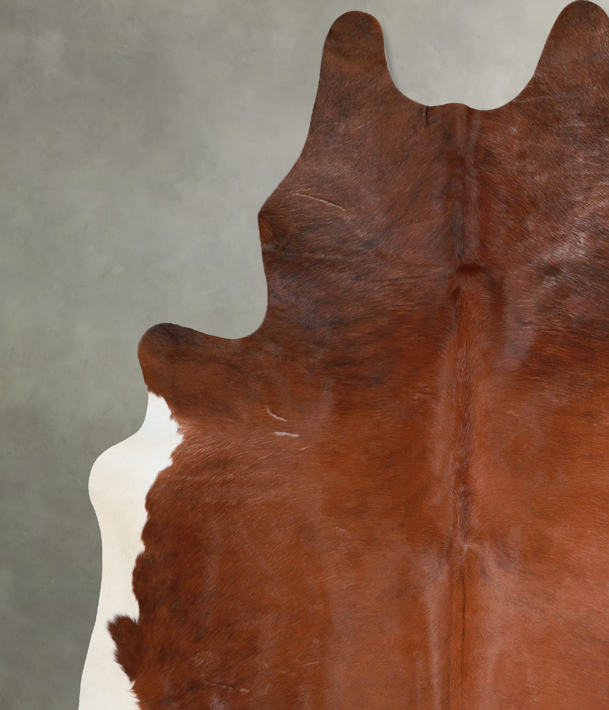 Brown and White Regular XX-Large Brazilian Cowhide Rug 8'3"H x 6'9"W #A53996 by Hudson Hides