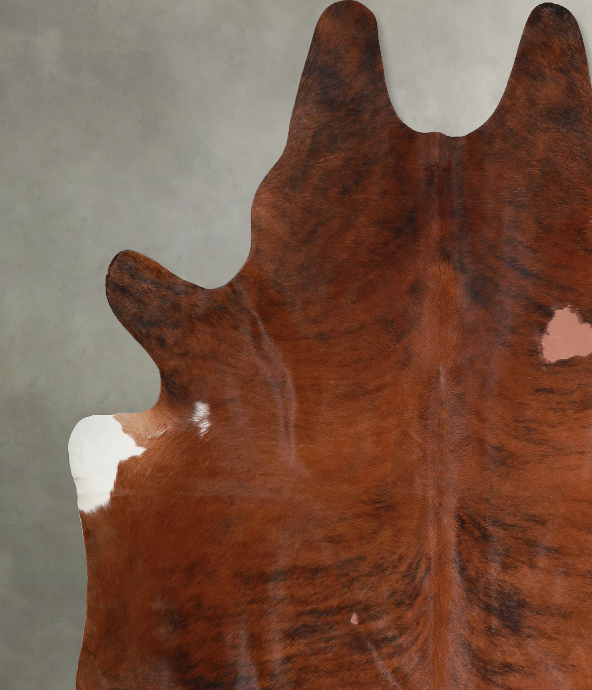 Medium Brindle XX-Large Brazilian Cowhide Rug 7'9"H x 7'4"W #A53998 by Hudson Hides