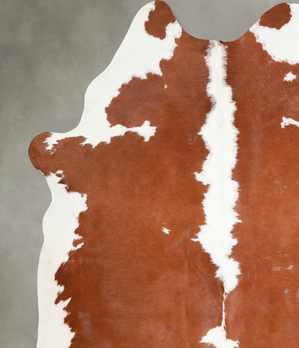 Brown and White X-Large Brazilian Cowhide Rug 7'6"H x 6'2"W #A54000 by Hudson Hides
