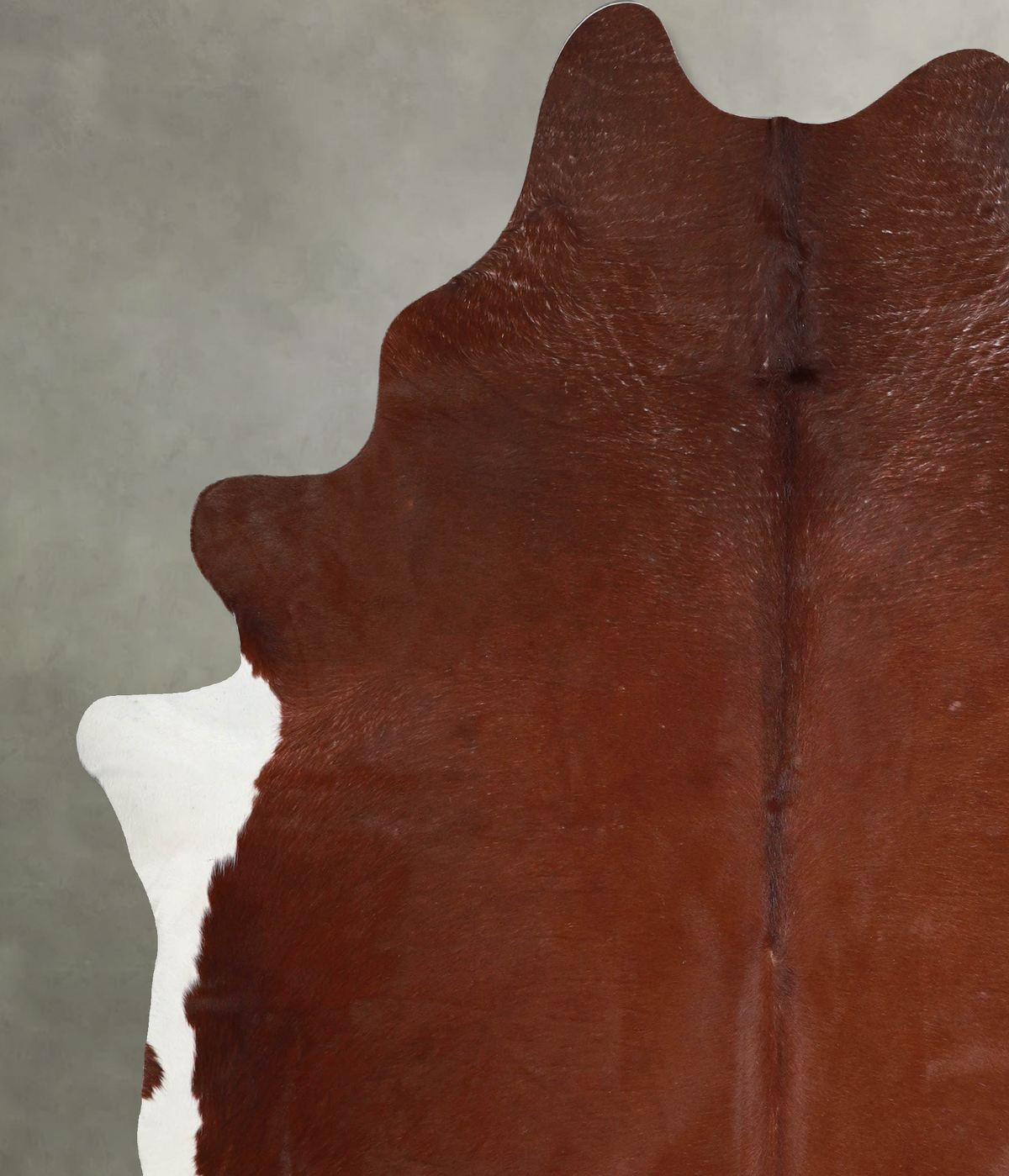 Solid Brown XX-Large Brazilian Cowhide Rug 7'9"H x 6'7"W #A54002 by Hudson Hides