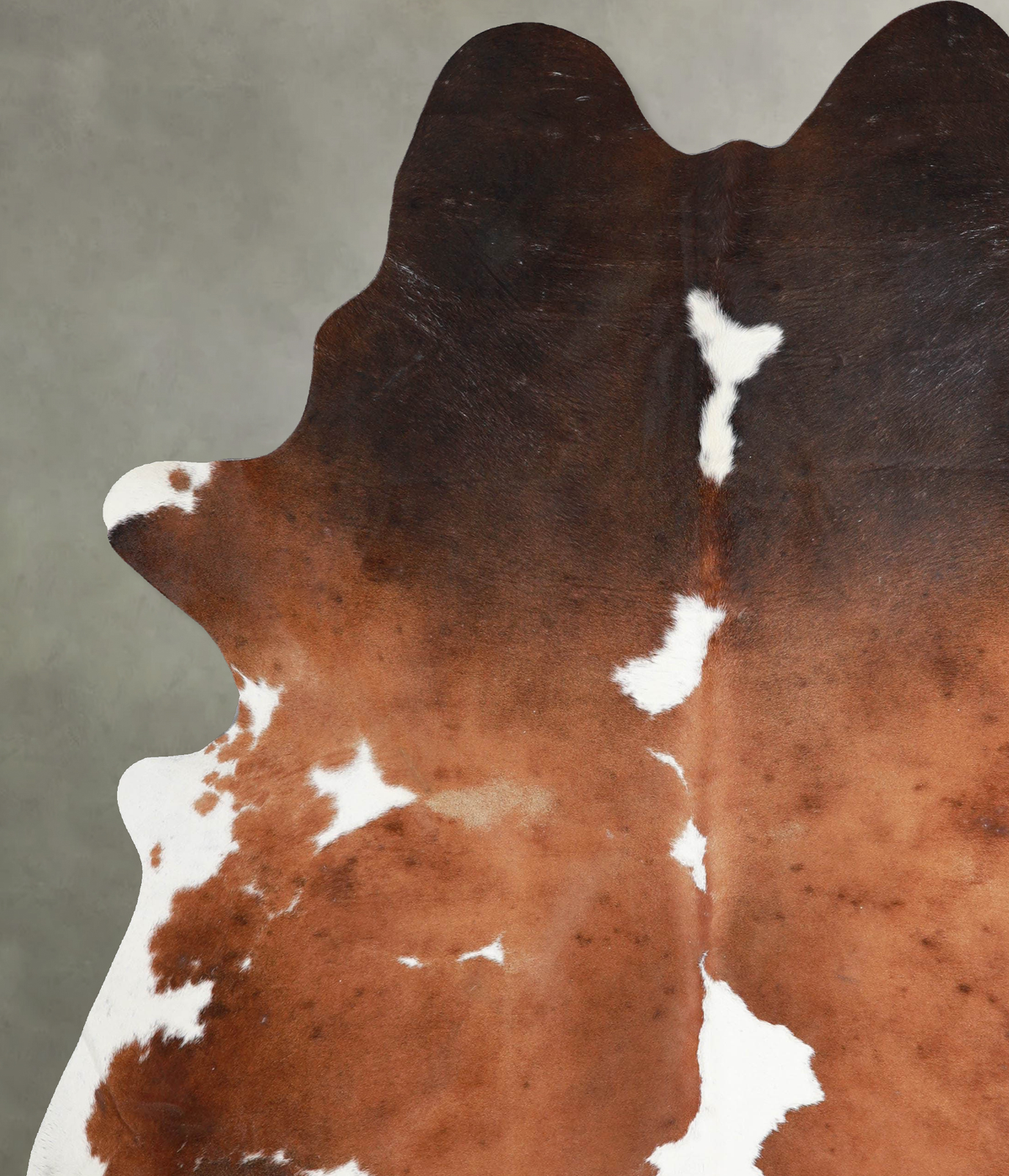 Chocolate and White XX-Large Brazilian Cowhide Rug 8'5"H x 6'9"W #A54006 by Hudson Hides