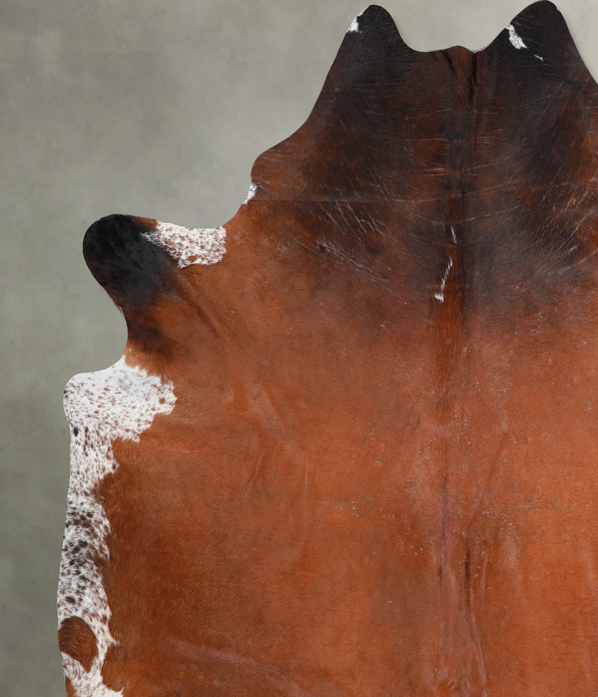 Warm Caramel XX-Large Brazilian Cowhide Rug 7'7"H x 7'1"W #A54009 by Hudson Hides