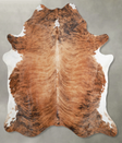 Medium Brindle XX-Large Brazilian Cowhide Rug 7'11"H x 6'11"W #A54022 by Hudson Hides