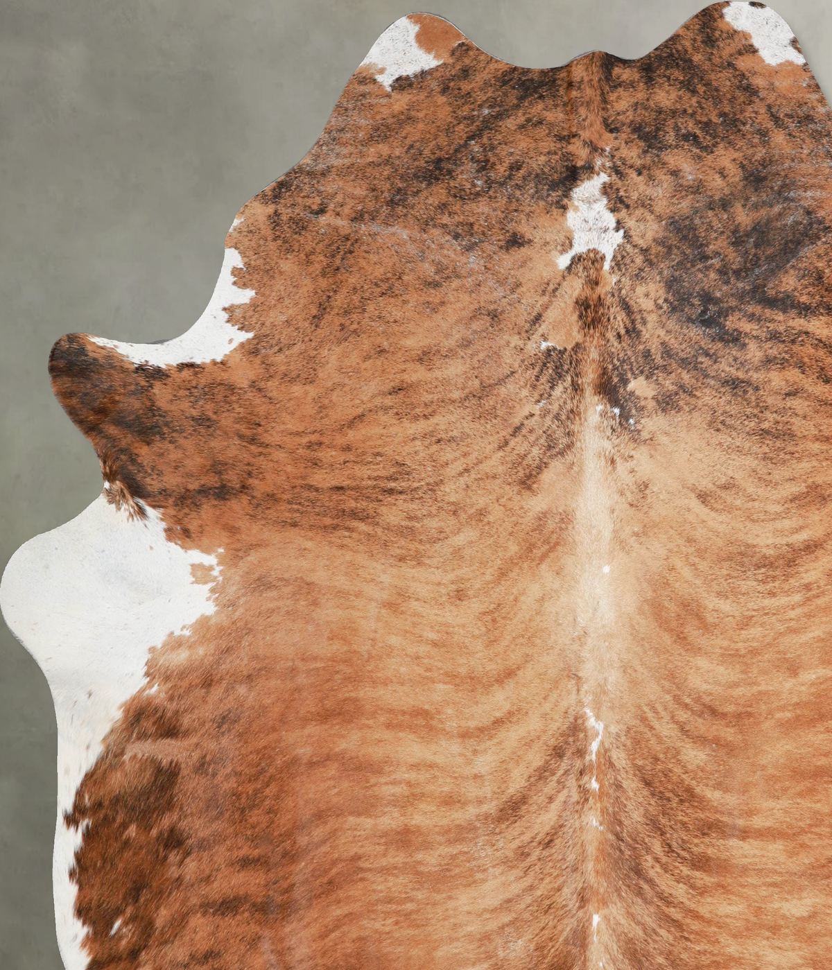 Medium Brindle XX-Large Brazilian Cowhide Rug 7'11"H x 6'11"W #A54022 by Hudson Hides