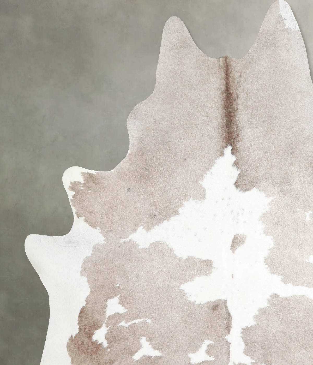 Taupe XX-Large Brazilian Cowhide Rug 8'3"H x 7'2"W #A54037 by Hudson Hides