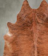 Medium Brindle XX-Large Brazilian Cowhide Rug 7'9"H x 7'0"W #A54043 by Hudson Hides
