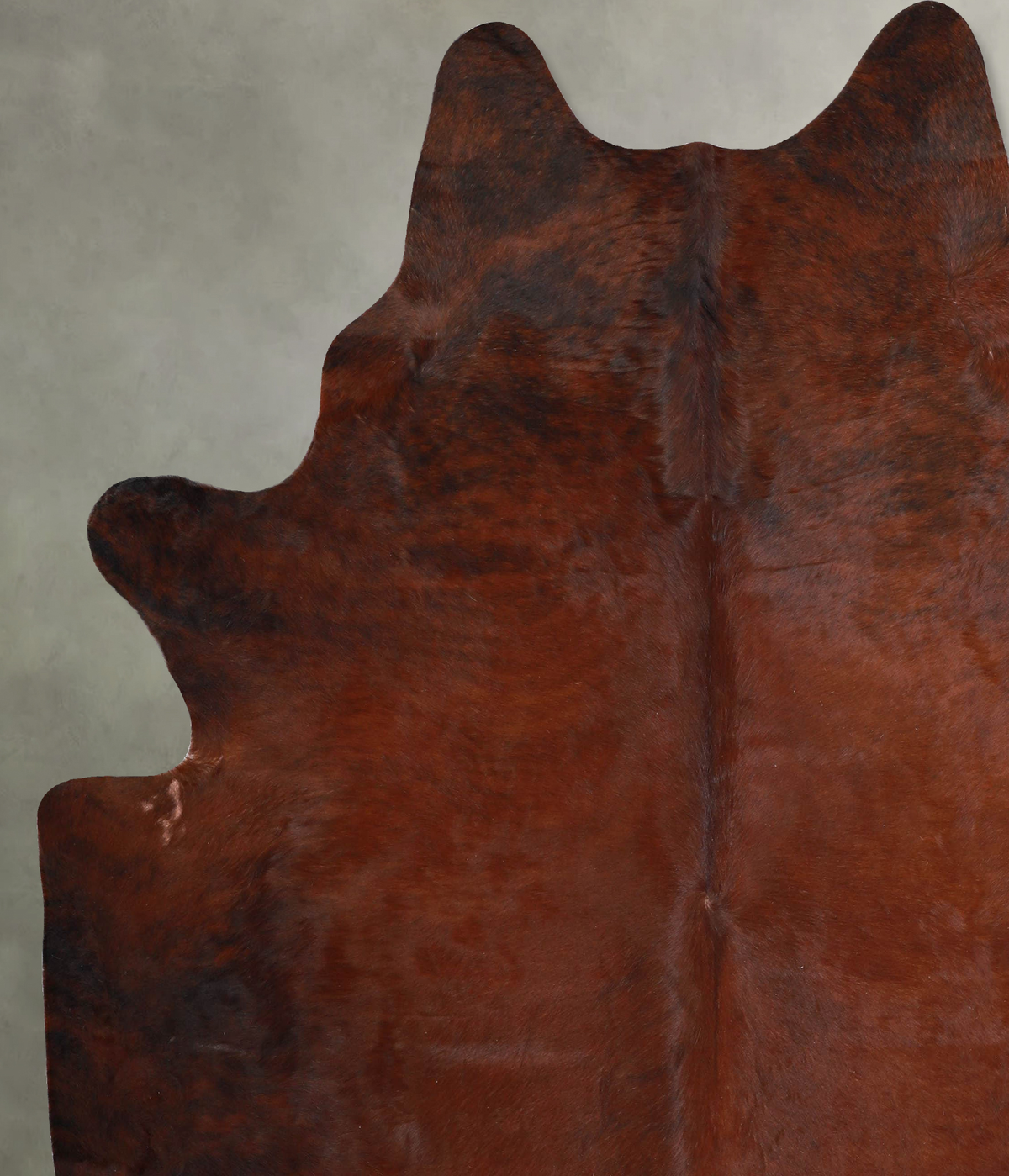 Warm Caramel XX-Large Brazilian Cowhide Rug 7'8"H x 6'11"W #A54047 by Hudson Hides
