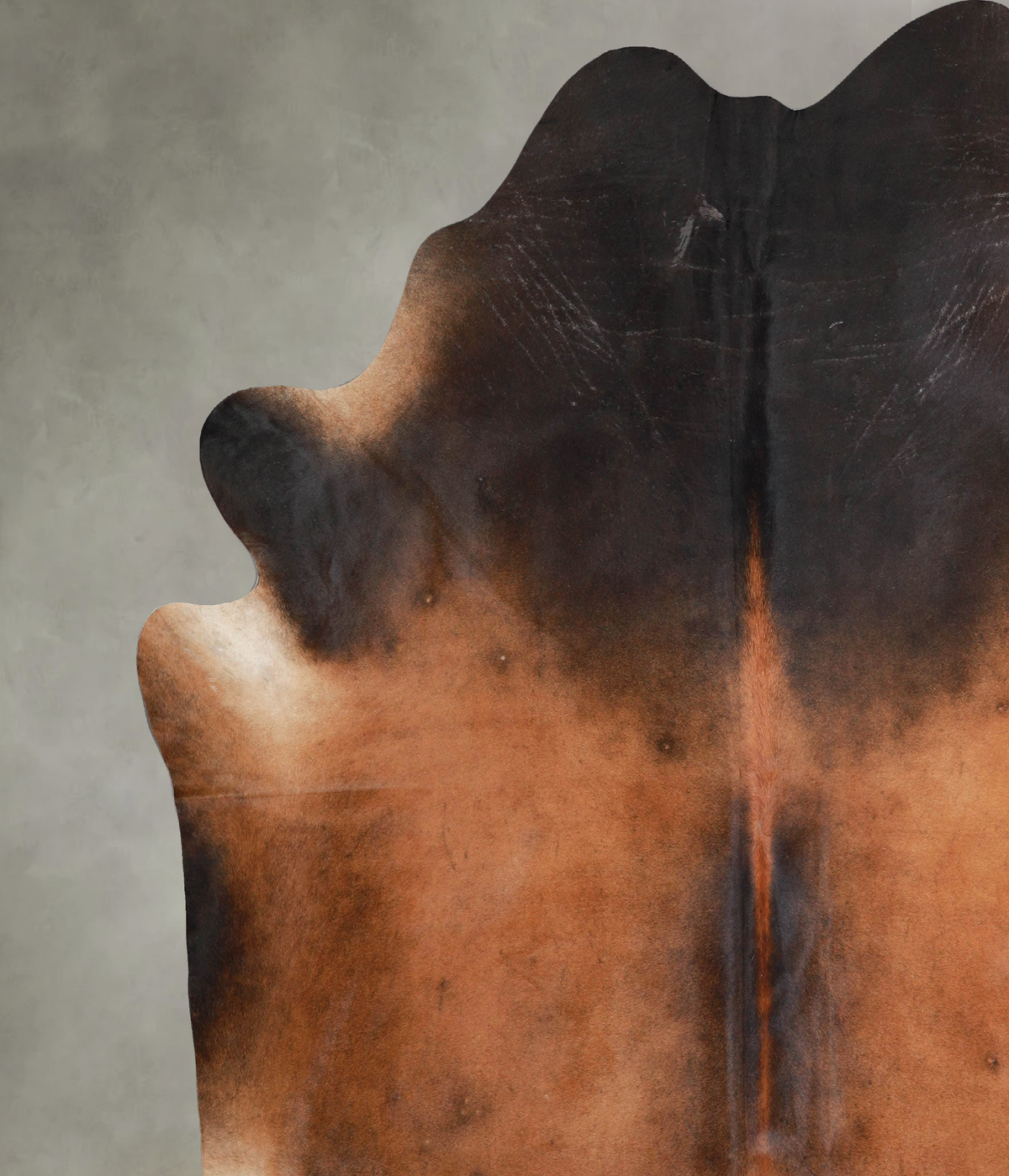 Warm Caramel XX-Large Brazilian Cowhide Rug 8'2"H x 8'1"W #A54050 by Hudson Hides