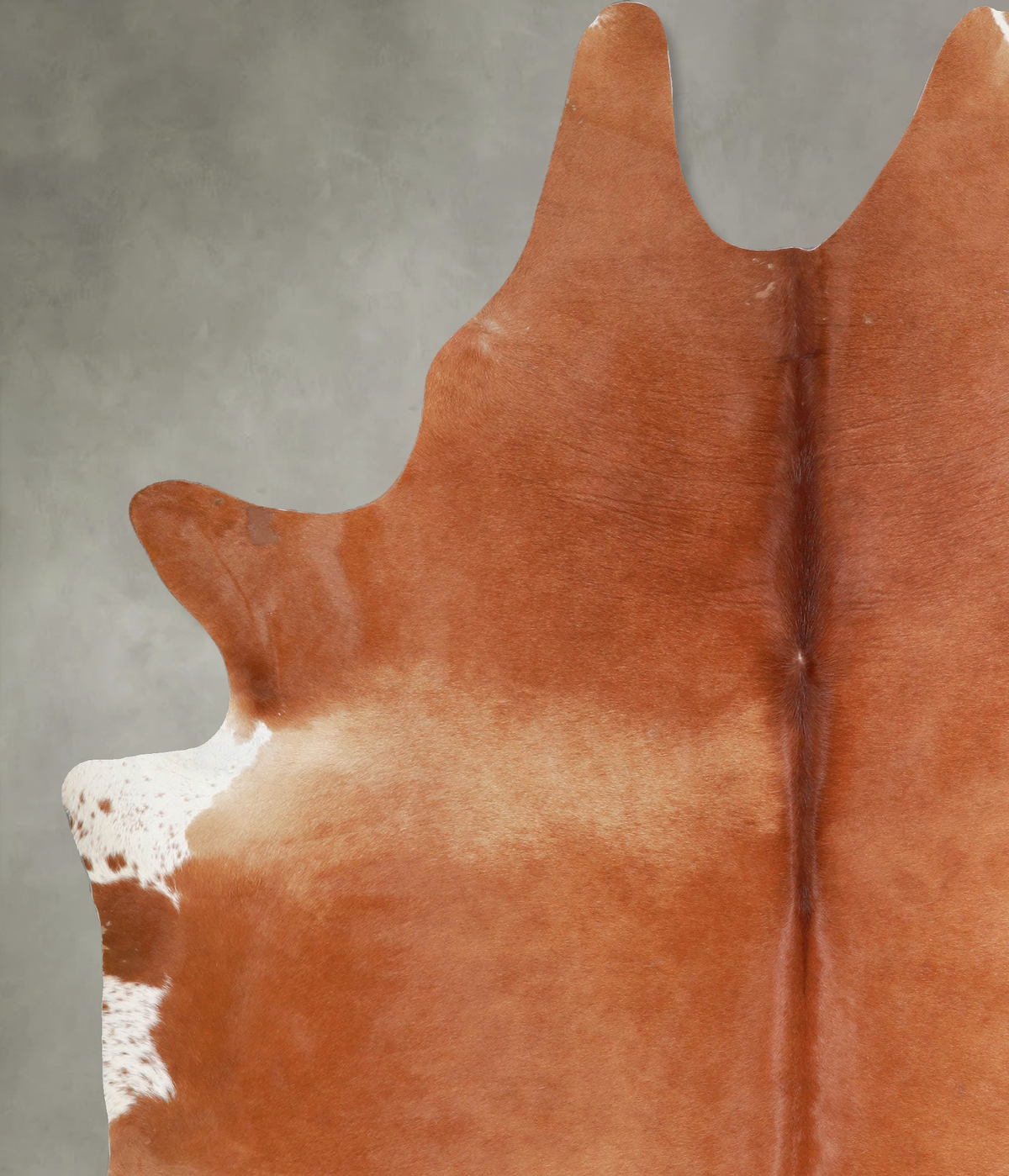 Solid Brown XX-Large Brazilian Cowhide Rug 8'0"H x 6'6"W #A54052 by Hudson Hides