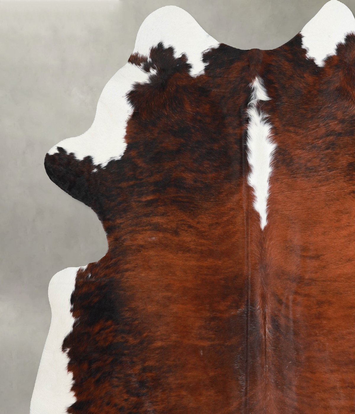 Tricolor XX-Large Brazilian Cowhide Rug 7'5"H x 6'9"W #A54056 by Hudson Hides