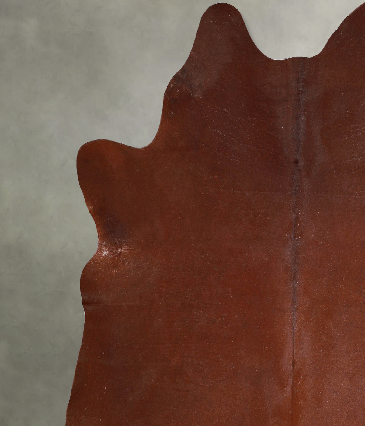 Solid Brown XX-Large Brazilian Cowhide Rug 7'4"H x 7'1"W #A54058 by Hudson Hides