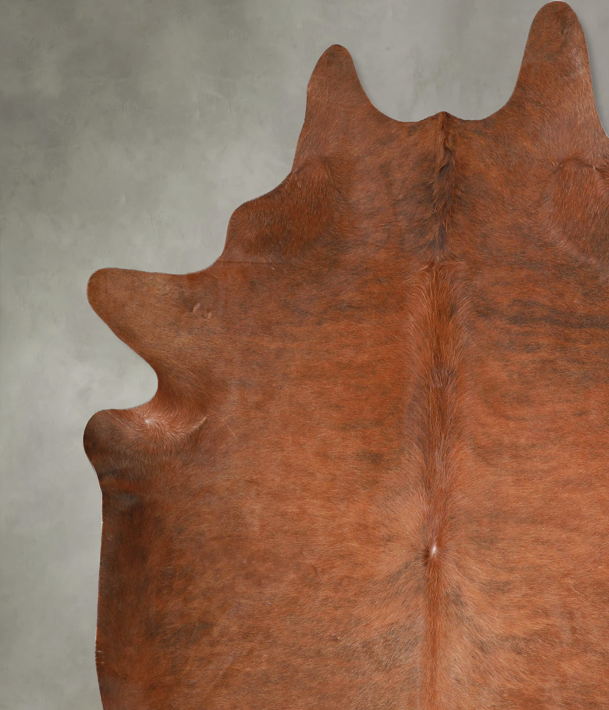 Solid Brown XX-Large Brazilian Cowhide Rug 8'3"H x 7'9"W #A54062 by Hudson Hides