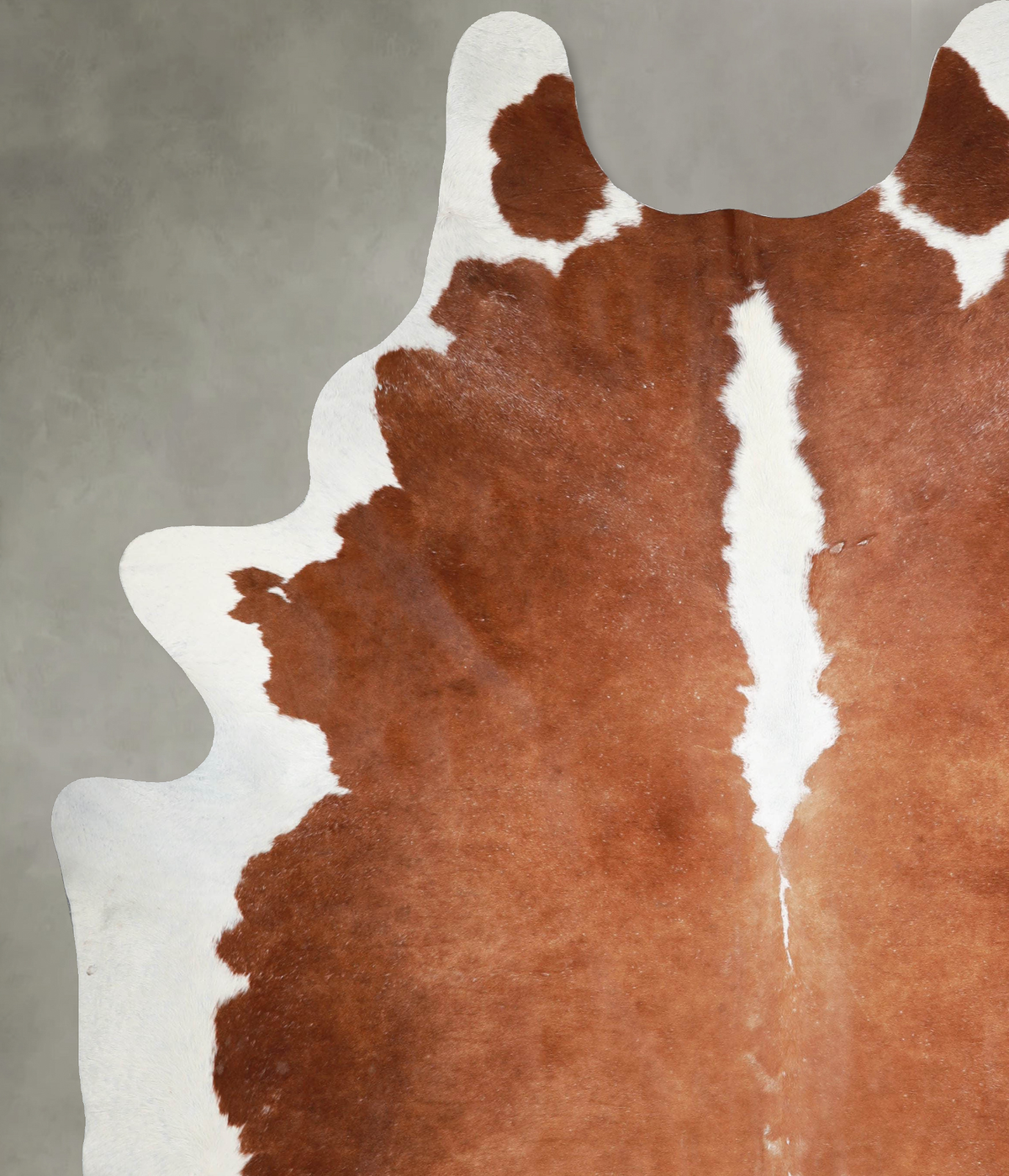 Brown and White Regular XX-Large Brazilian Cowhide Rug 8'11"H x 7'3"W #A54069 by Hudson Hides