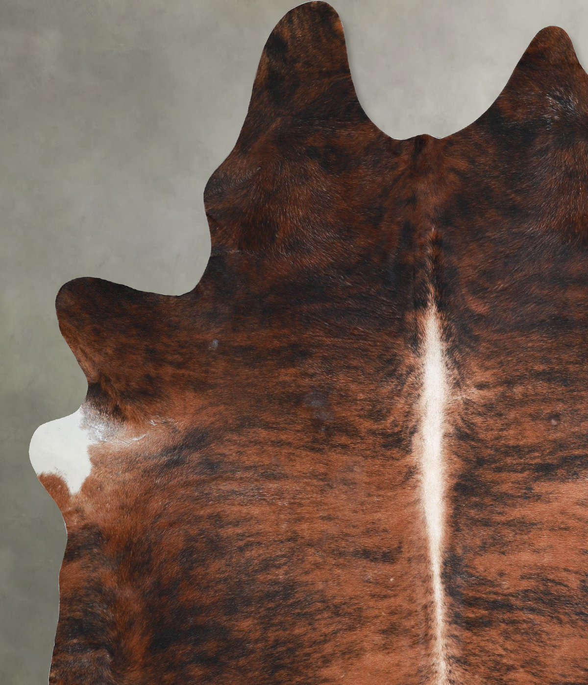Dark Brindle XX-Large Brazilian Cowhide Rug 8'9"H x 6'11"W #A54079 by Hudson Hides