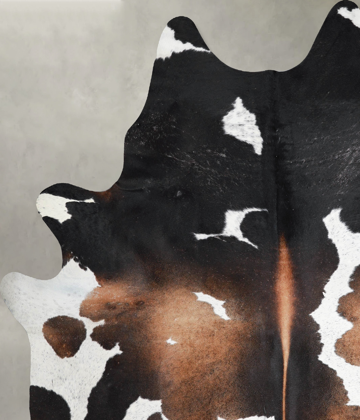 Chocolate and White XX-Large Brazilian Cowhide Rug 8'0"H x 6'7"W #A54084 by Hudson Hides