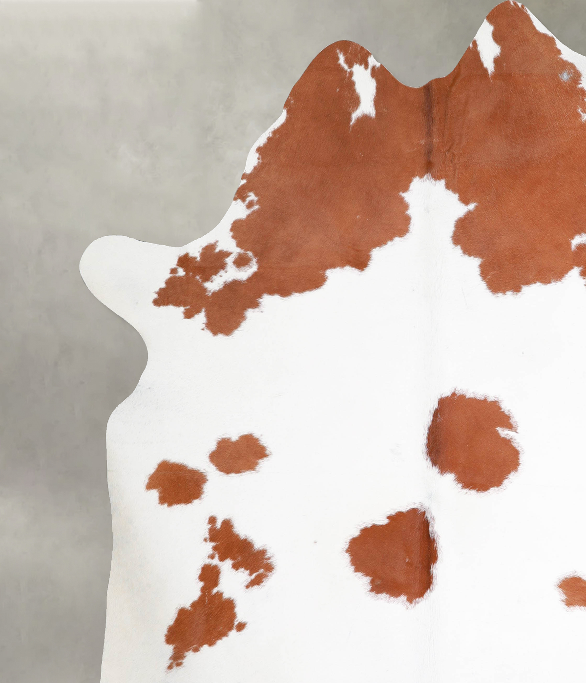 Brown and White XX-Large Brazilian Cowhide Rug 8'3"H x 6'11"W #A54088 by Hudson Hides