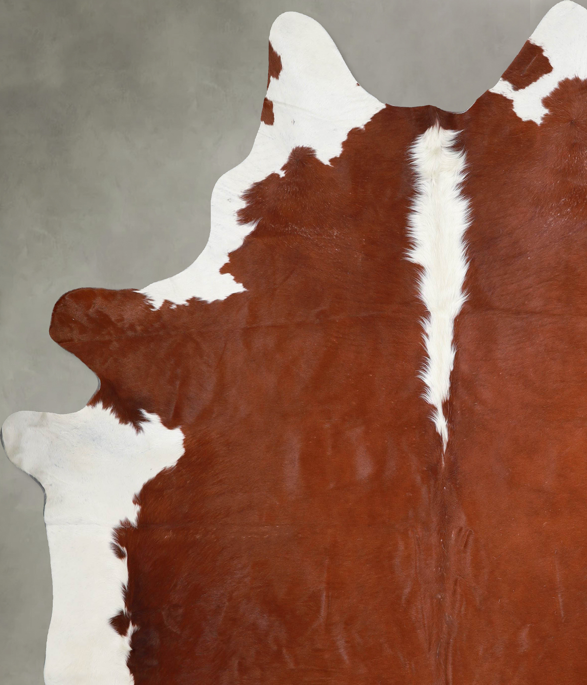 Hereford XX-Large Brazilian Cowhide Rug 8'3"H x 7'3"W #A54092 by Hudson Hides