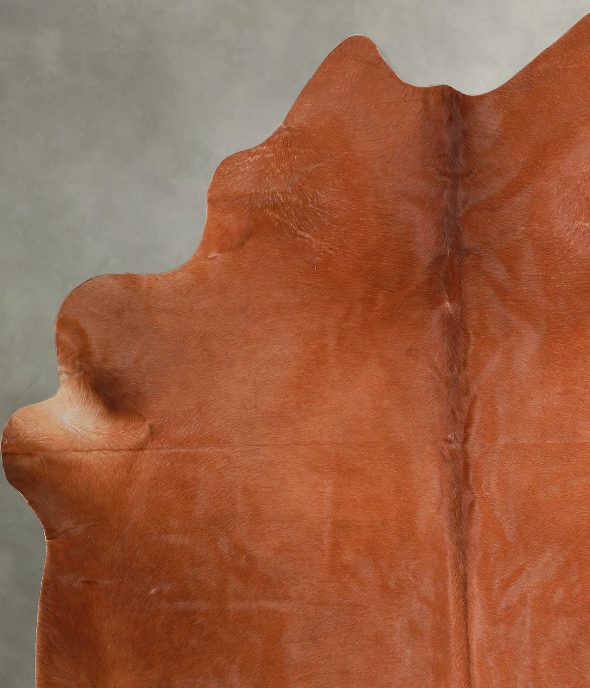 Solid Brown X-Large Brazilian Cowhide Rug 6'11"H x 6'1"W #A54093 by Hudson Hides