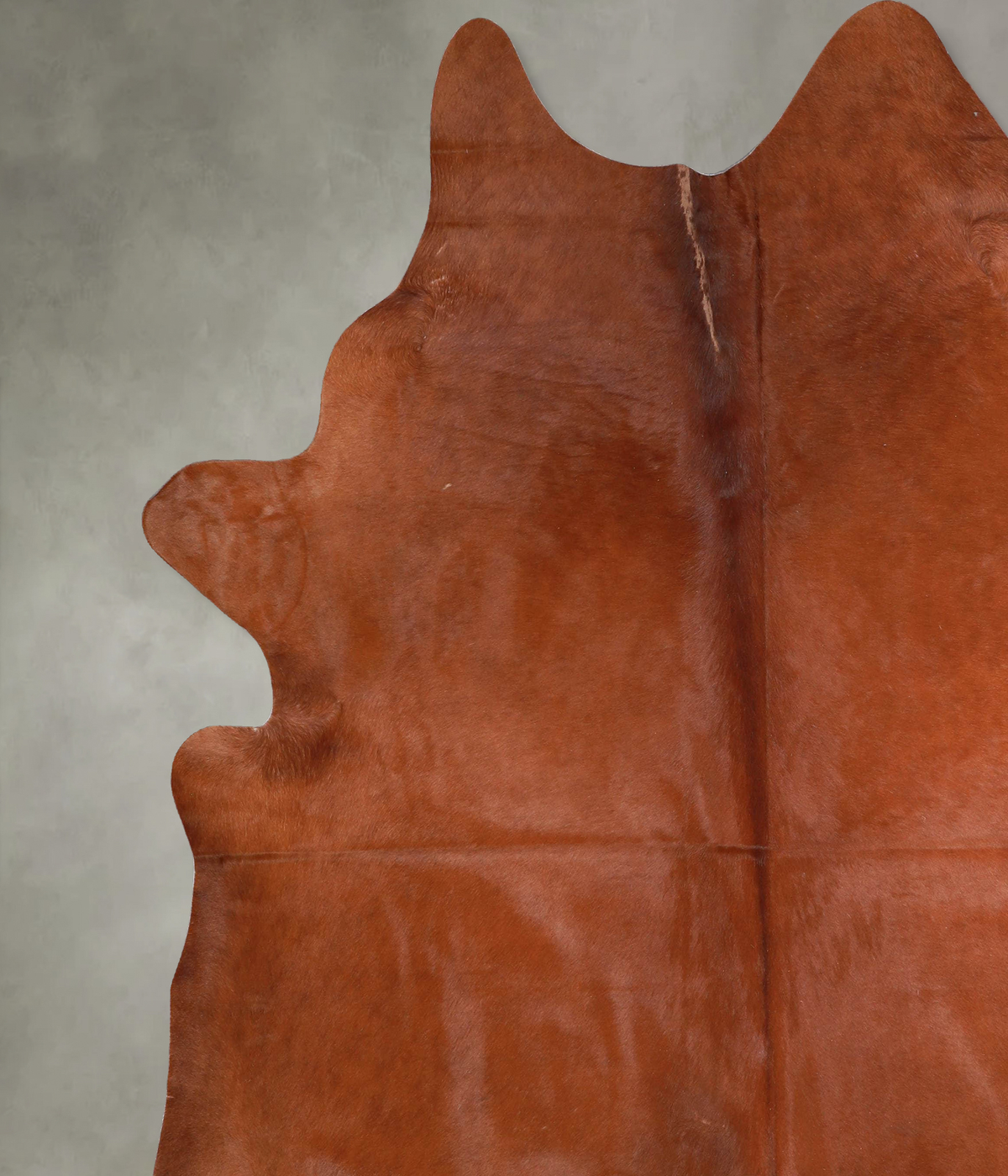 Solid Brown XX-Large Brazilian Cowhide Rug 8'0"H x 7'2"W #A54096 by Hudson Hides