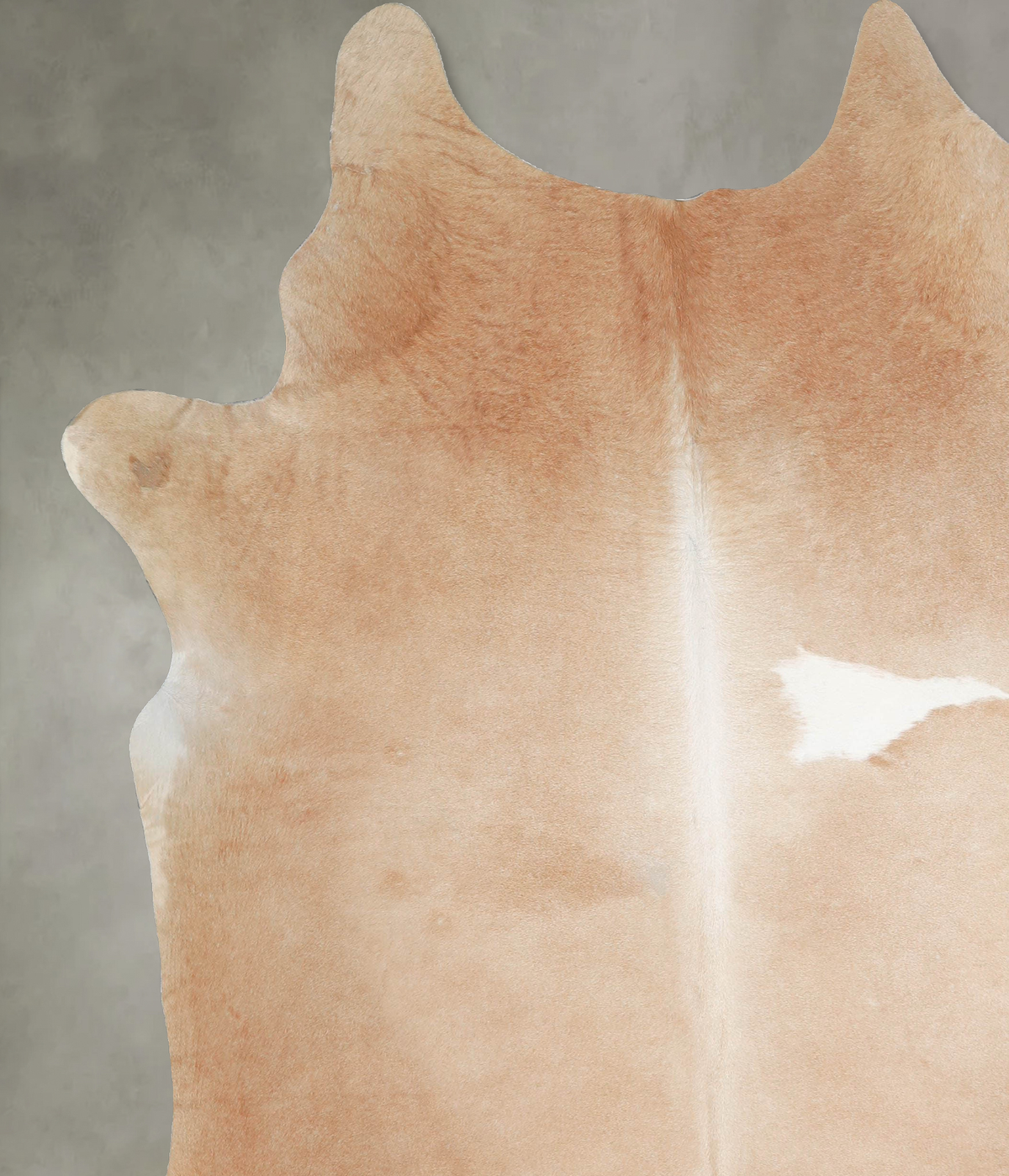 Beige XX-Large Brazilian Cowhide Rug 7'10"H x 6'6"W #A54099 by Hudson Hides