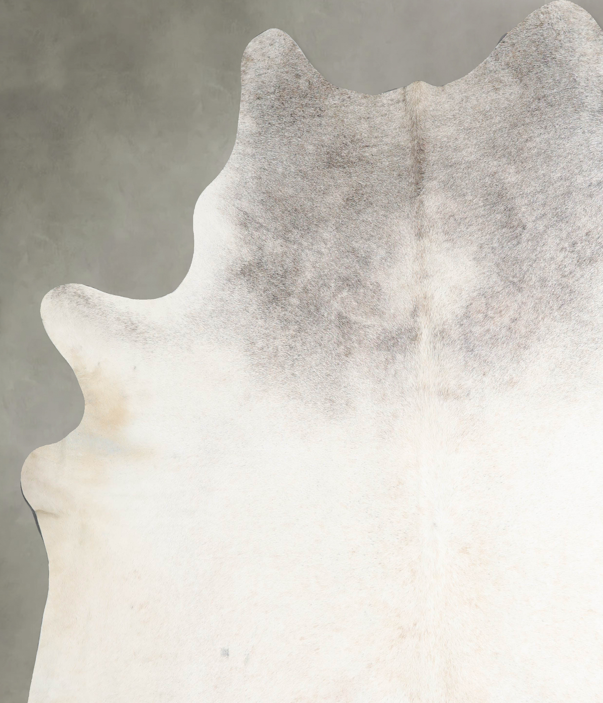 Ivory with Beige XX-Large Brazilian Cowhide Rug 8'4"H x 7'8"W #A54100 by Hudson Hides