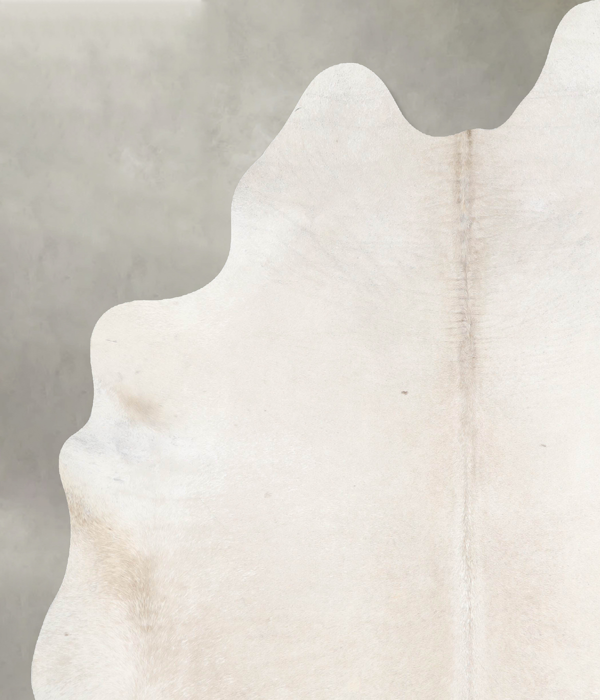 Ivory with Beige XX-Large Brazilian Cowhide Rug 7'11"H x 6'6"W #A54104 by Hudson Hides