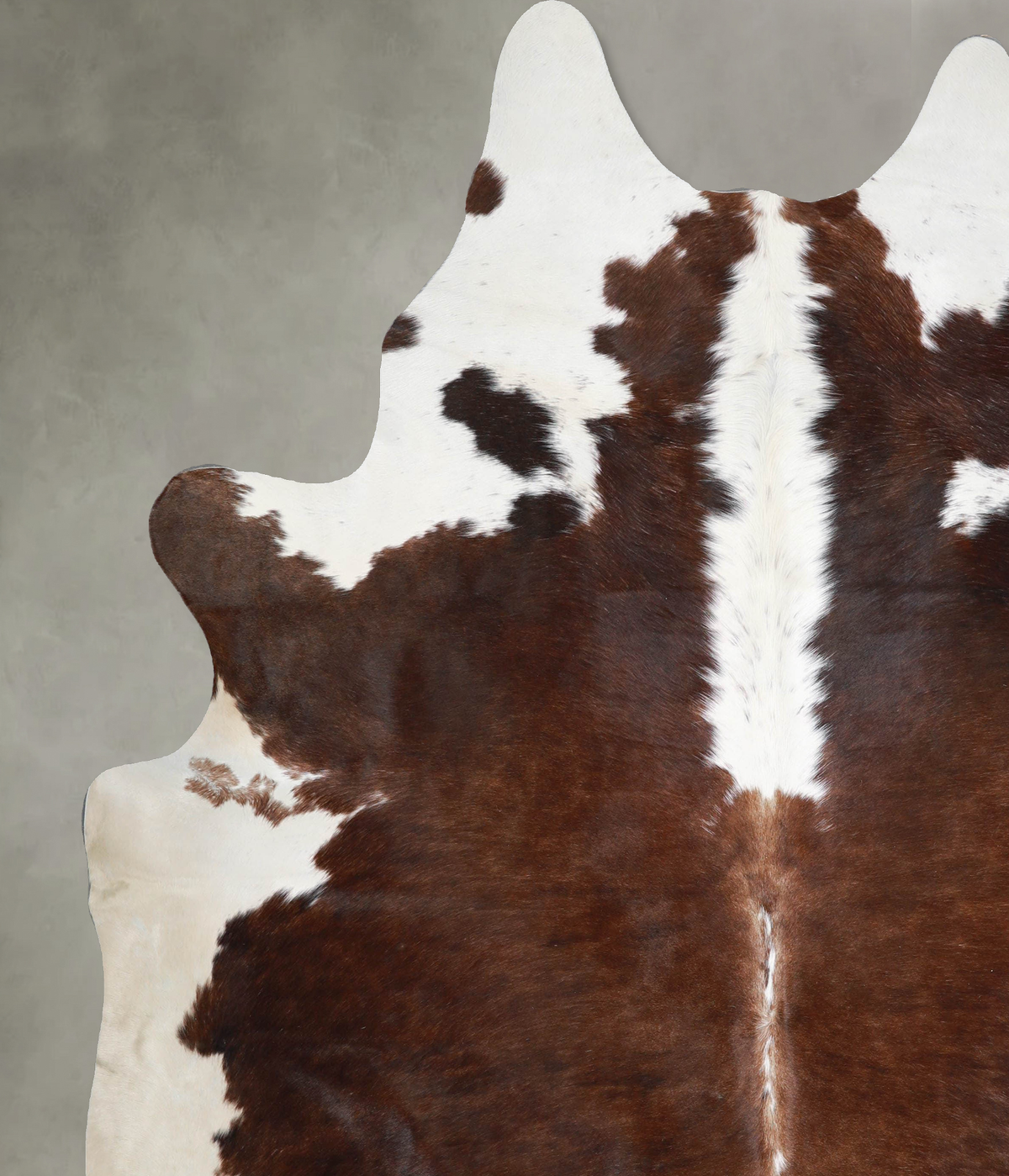 Chocolate and White XX-Large Brazilian Cowhide Rug 8'7"H x 7'4"W #A54105 by Hudson Hides