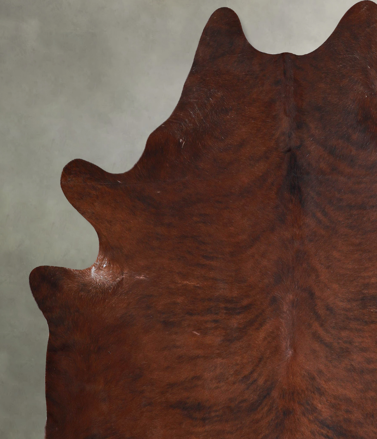 Dark Brindle XX-Large Brazilian Cowhide Rug 7'7"H x 6'8"W #A54108 by Hudson Hides