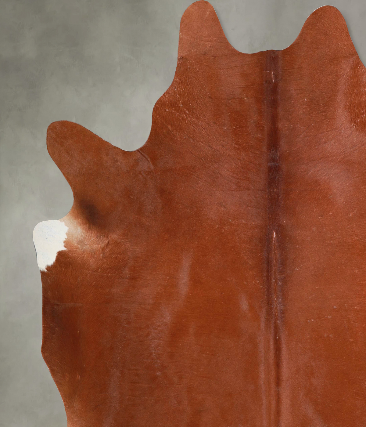 Solid Brown XX-Large Brazilian Cowhide Rug 7'5"H x 6'9"W #A54110 by Hudson Hides